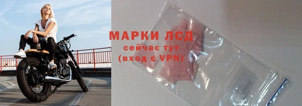 спиды Лагань
