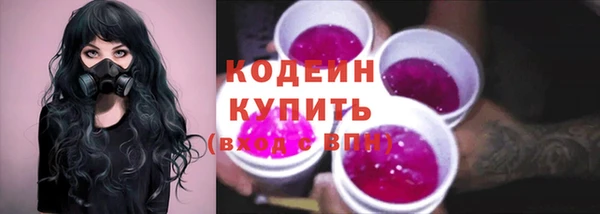 спиды Лагань