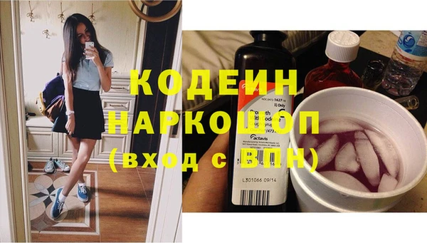 спиды Лагань