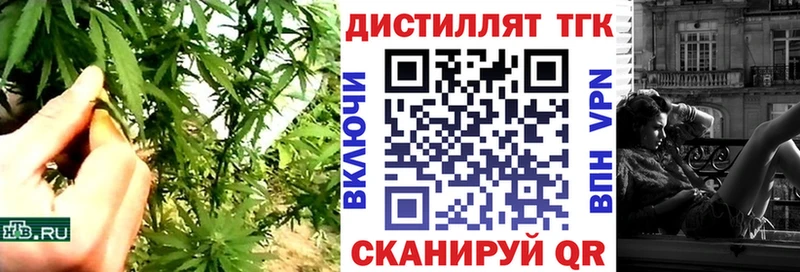 Купить  Нефтекумск  Дистиллят ТГК концентрат 