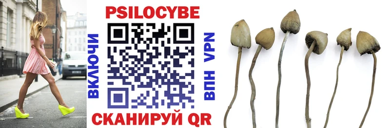 Псилоцибиновые грибы мухоморы  Купить  Нефтекумск 